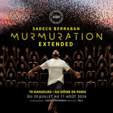 Murmuration Extended - Sadeck Berrabah - Dôme de Paris
