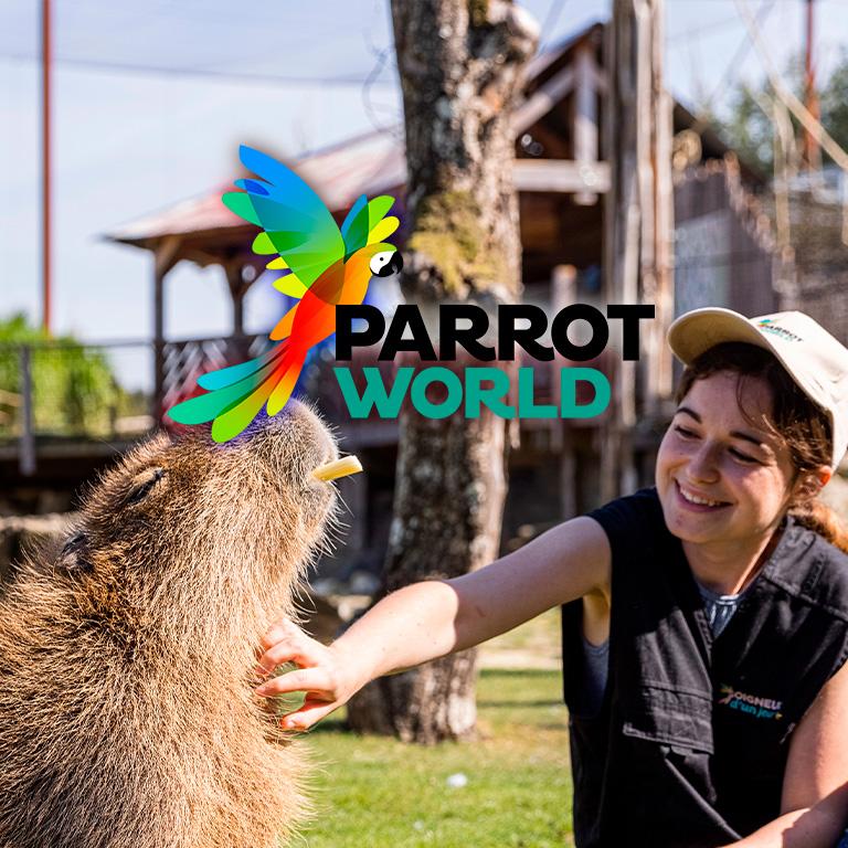 Parrot World : billets pour les expériences immersives