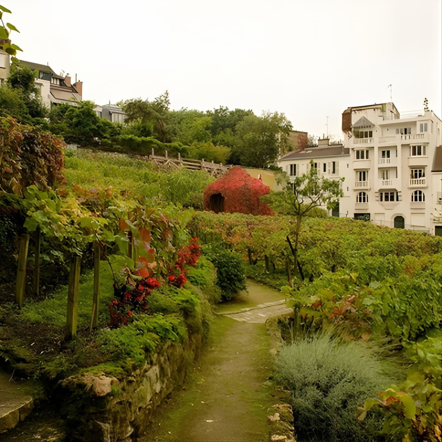 Montmartre Self-Guided Audio Tour: More Than Meets the Eye