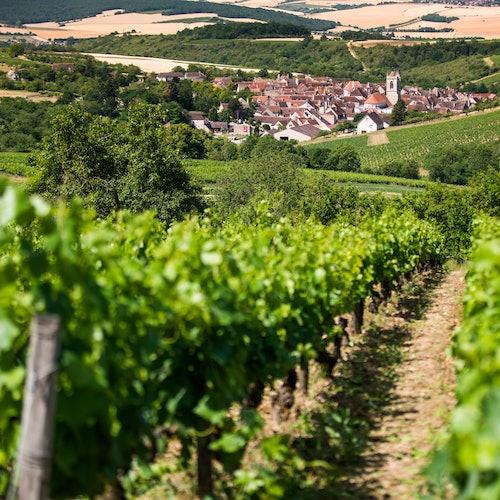 Excursion d'une journée en Bourgogne au départ de Paris