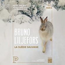 Bruno Liljefors. La Suède Sauvage