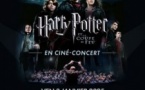 HARRY POTTER ET LA COUPE DE FEU EN CINE-CONCERT