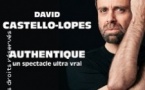 David Castello-Lopes - Authentique - Tournée