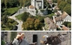 Pass Provins + Spectacle Les Aigles des Remparts