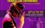 Mickael Jackson - Tribute Live Experience