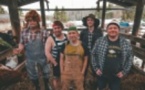 Steve'n'Seagulls