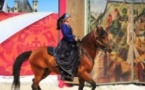 Spectacle de Chevaux et Rapaces - Château de Chambord