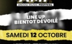 AMF - Anjou Music Festival #2