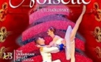 Casse-Noisette - The Ukrainian Ballet Of Odessa (Tournée)