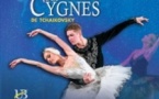 Le Lac des Cygnes - The Ukrainian Ballet of Odessa - Tournée