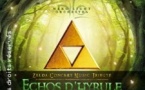 Echos d' Hyrule - Par Neko Light Orchestra