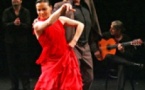 Noche Flamenca