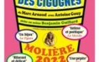 La Métamorphose des Cigognes