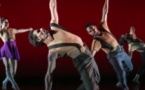 Malpaso Dance Company