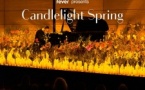 Candlelight Spring: Een tribute aan Ludovico Einaudi