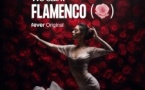 We call it Flamenco : un spectacle unique de danse espagnole