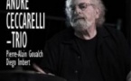 André Ceccarelli Trio + Pierre-Alain Goualch + Diego Imbert