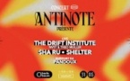 Concert — Antinote