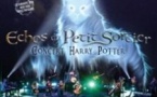 Echos du Petit Sorcier  Neko Light Orchestra