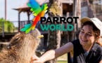 Parrot World : billets pour les expériences immersives