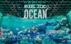 Pixel Zoo Ocean