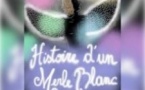 Histoire d'Un Merle Blanc, Théâtre au Coin de la Lune