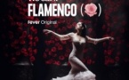 We Call it Flamenco: Eine einzigartige spanische Tanzshow