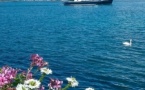 Excursion en bateau à Genève