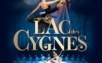 Le Lac des Cygnes - International Festival Ballet -  Casino de Paris