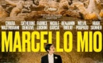 Marcello mio