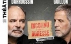 Inconnu à Cette Adresse - Jean-Pierre Darroussin & Stéphane Guillon - Théâtre Antoine, Paris