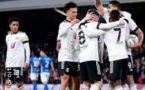 Fulham FC - Saison 2024/2025