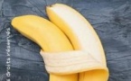 Je t'Aime Banane