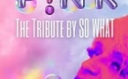 Tribute P!nk -  The Tribute by so What