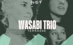 WASABI TRIO