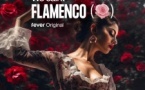 We call it Flamenco : un spectacle unique de danse espagnole