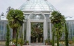 The Right Bank: An audio tour from Brunswick Monument to the botanical garden