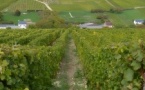 Exclusive Wine tour in Sancerre & Pouilly Fumé from Paris