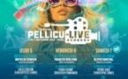 Festival Pellicu-Live