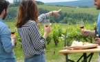 Full-Day North Burgundy and Chablis Wine Tasting Tour from Paris