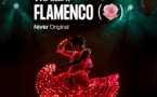 We call it Flamenco : Un sensationnel spectacle de danse espagnole