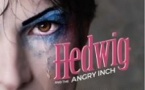 Hedwig and the Angry Inch