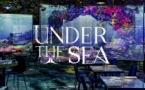 Under the Sea, une expérience culinaire immersive