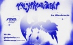 POLYPHUNDAIR