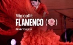 We call it Flamenco: Eine einzigartige spanische Tanzshow