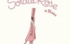 Le Soldat Rose, les 15 Ans - Tournée