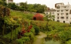 Montmartre Self-Guided Audio Tour: More Than Meets the Eye