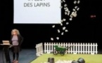 Le Problème Lapin