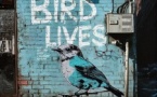 Bird Lives