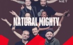 Natural Mighty - Original Reggae Roots